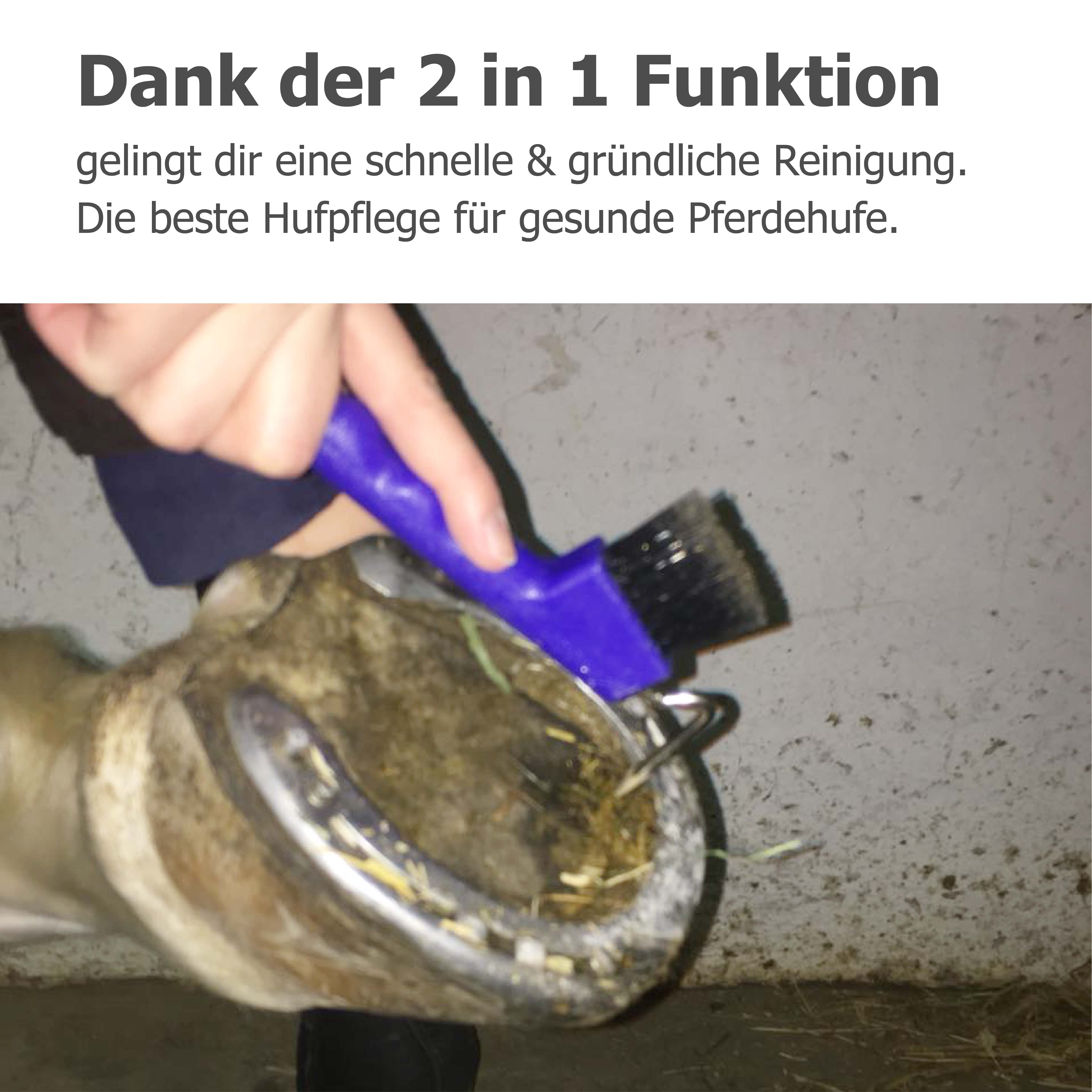 Hufkratzer mit stabiler Bürste und ergonomischen Griff